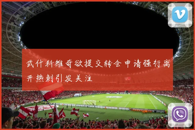 武什科维奇欲提交转会申请强行离开热刺引发关注
