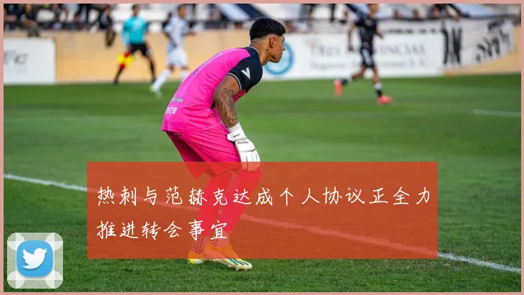 热刺与范赫克达成个人协议正全力推进转会事宜